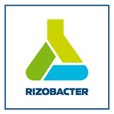 Rizobacter